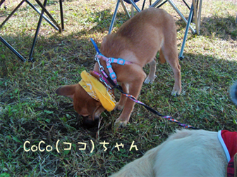 c0086746_14414594.jpg