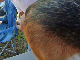 c0086746_14415267.jpg