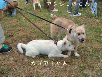 c0086746_14443575.jpg
