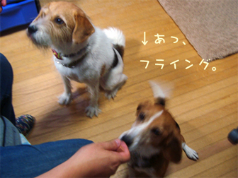 c0086746_14591044.jpg