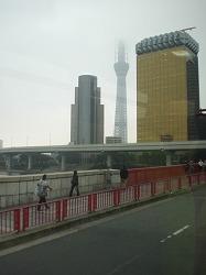 d0138650_710812.jpg