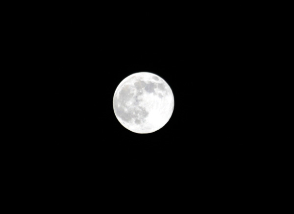 b0049152_17131969.jpg