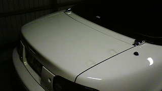 f0000652_0594991.jpg