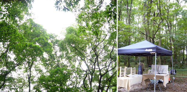 c0225153_1058225.gif