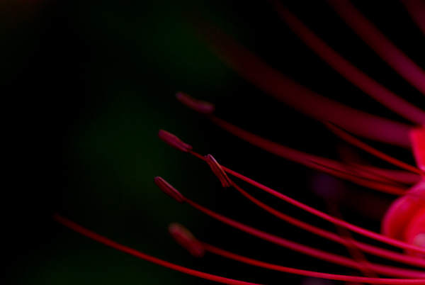 f0176353_10293637.jpg
