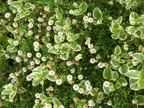 d0173057_11541992.jpg