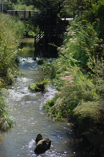f0176458_22254154.jpg