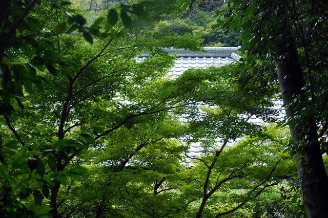 f0176458_22502212.jpg