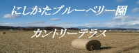 c0169360_005945.jpg