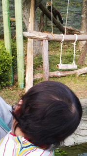 c0225561_21341960.jpg