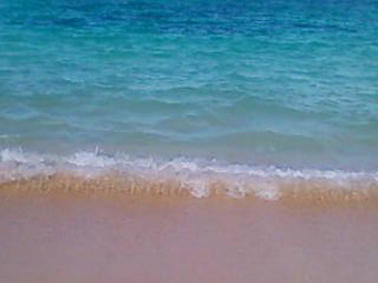 d0065364_1354660.jpg
