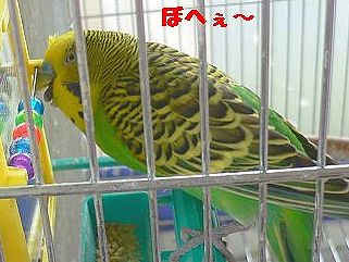 f0196665_005355.jpg
