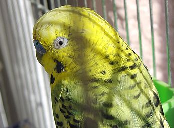 f0196665_06303.jpg