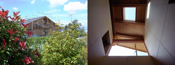 c0166668_5271673.jpg