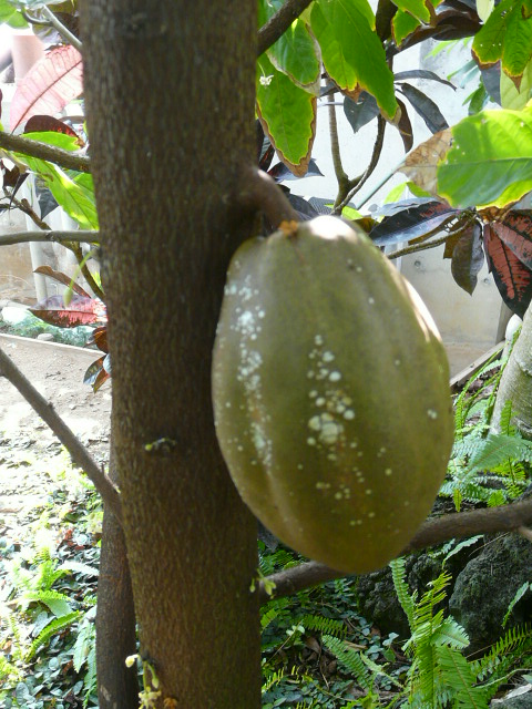 e0145782_7382340.jpg