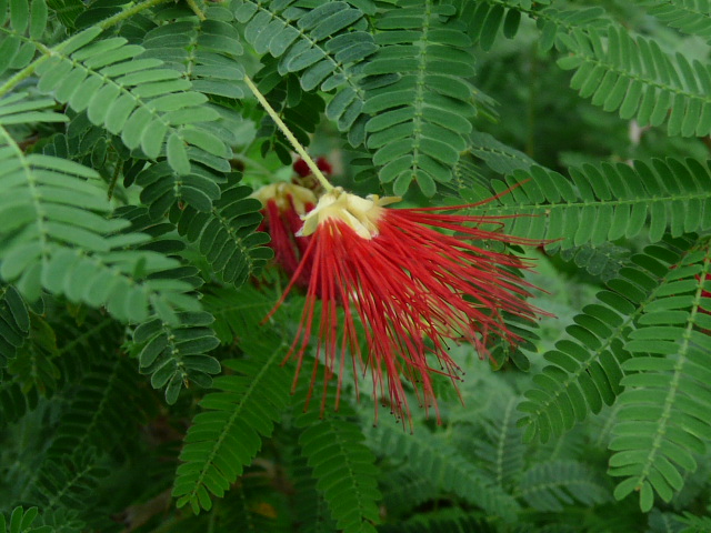 e0145782_7391350.jpg
