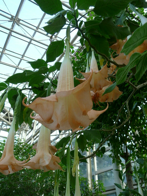 e0145782_7413958.jpg