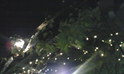 e0054290_024125.jpg