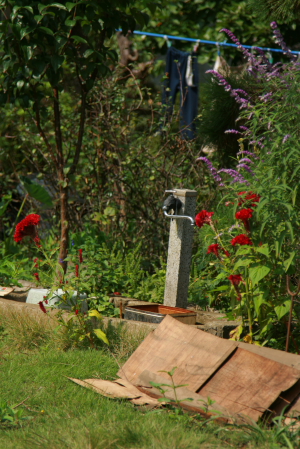 d0133693_2074931.jpg