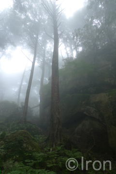 c0173794_14212051.jpg