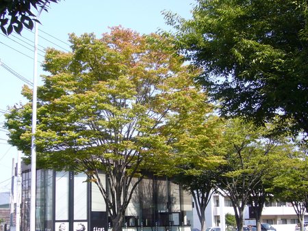 f0169397_20353810.jpg