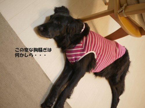 c0050400_123774.jpg