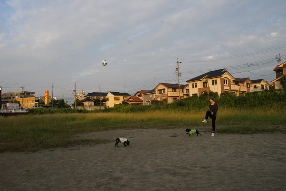 d0164100_23633100.jpg