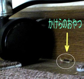 a0040103_2013336.jpg