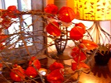 d0165505_2501664.jpg