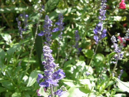 b0061107_2244425.jpg