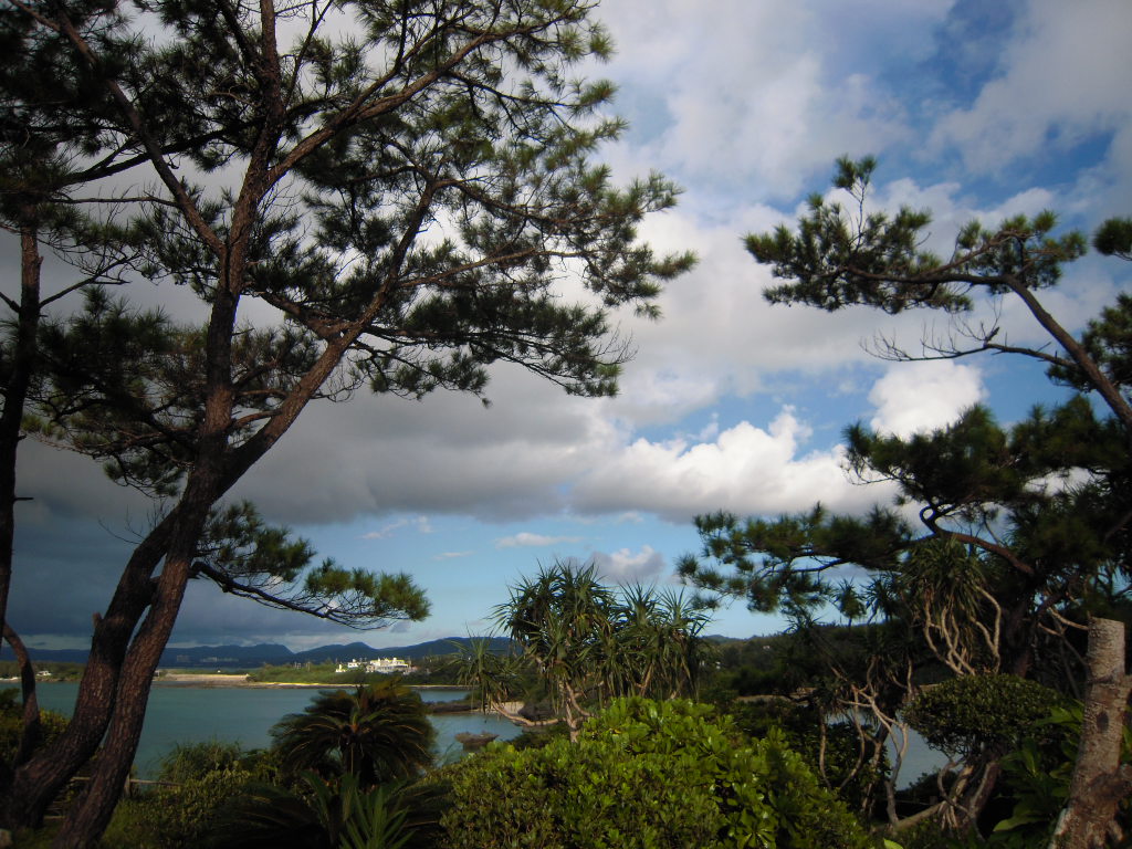 c0132608_21342966.jpg