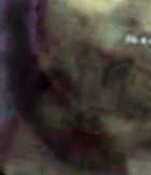 e0103408_1245311.gif