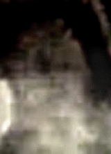e0103408_12575586.gif