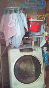 e0103408_12582483.gif