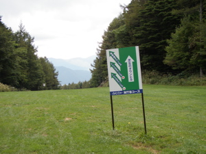 f0086008_17162040.jpg