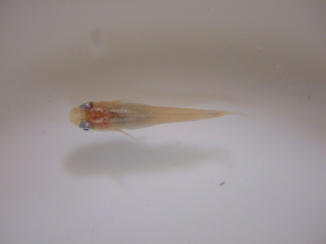 f0152308_1934077.jpg