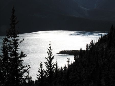 b0051109_11182141.jpg