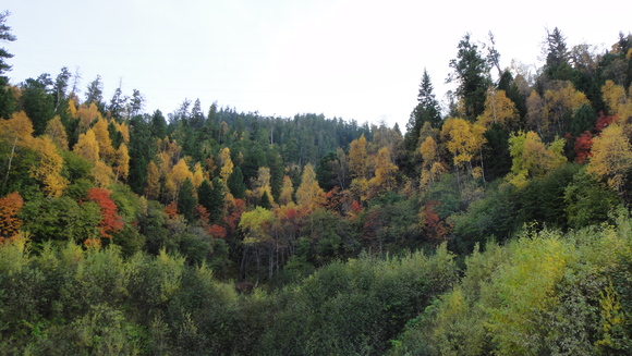 b0197609_285981.jpg