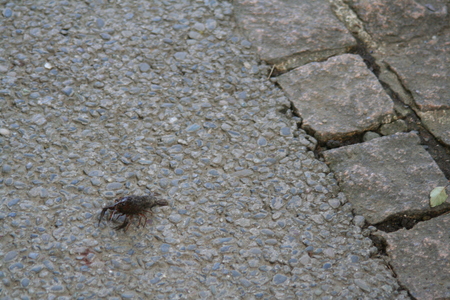 f0186509_2219019.jpg