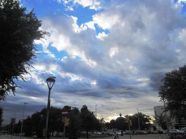 b0064411_7345880.jpg