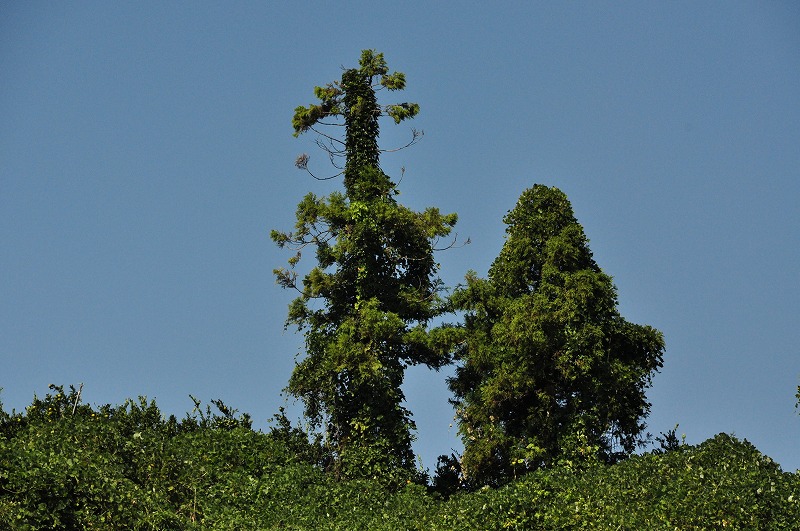 f0213613_219271.jpg