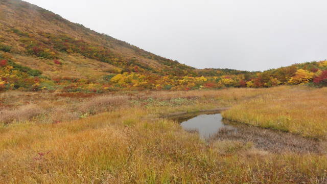 f0233414_2242656.jpg