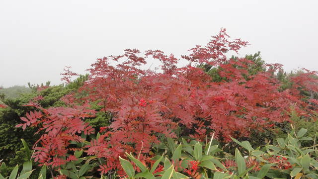 f0233414_22521875.jpg
