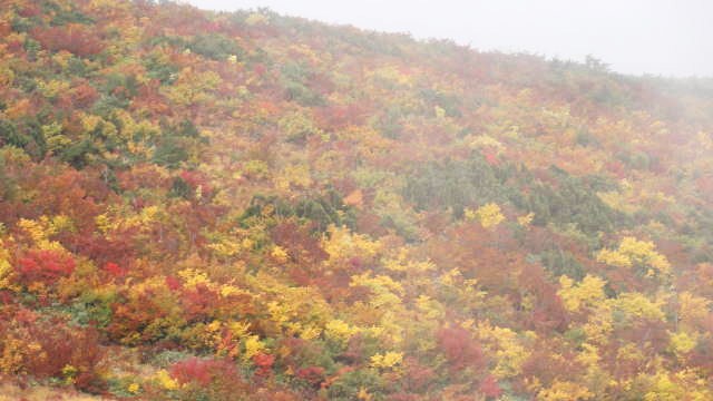 f0233414_23115443.jpg