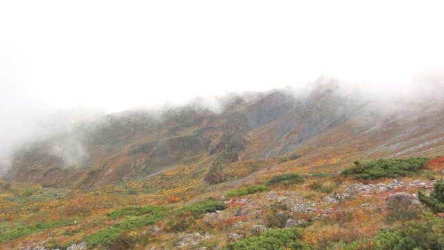 f0233414_239982.jpg