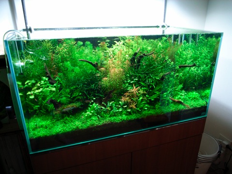 e0200816_2411970.jpg