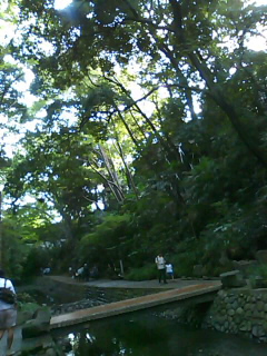 a0056722_2241319.jpg