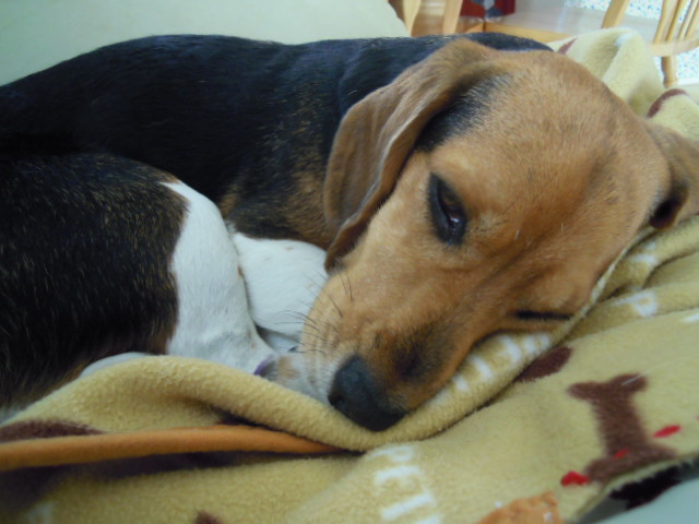 c0166622_1532157.jpg