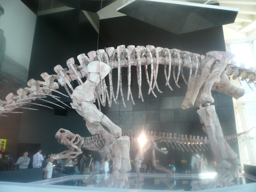 a0074523_205411.jpg