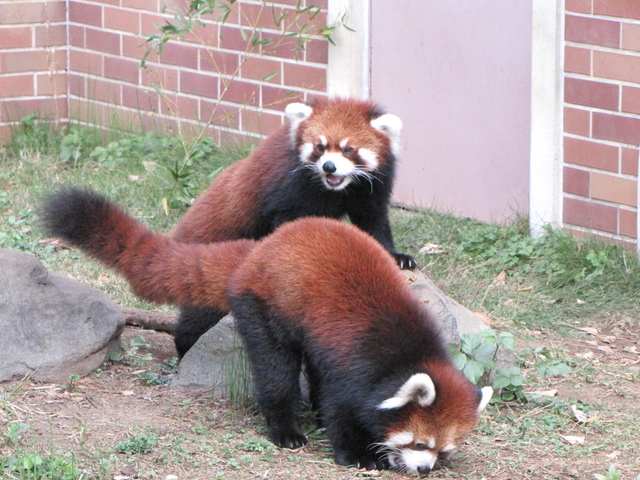 f0221023_2143237.jpg